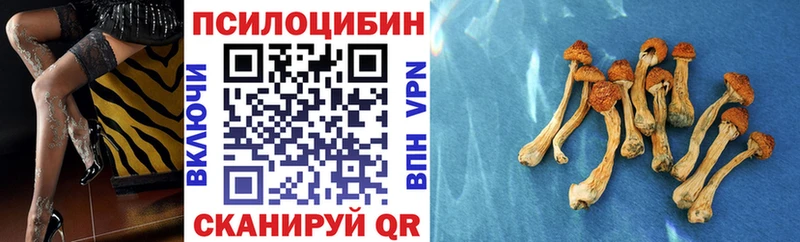 Псилоцибиновые грибы MAGIC MUSHROOMS  Купить где  Слободской 